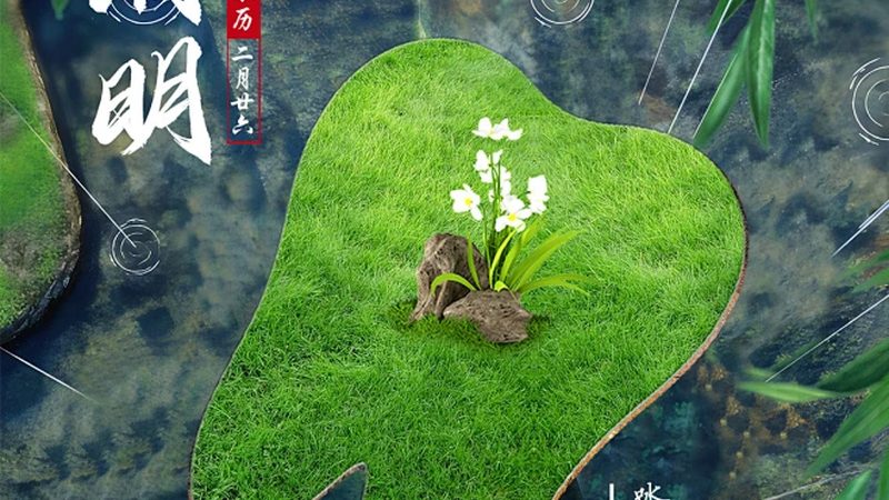 牙齿崩裂，根管治疗后的二次修复**